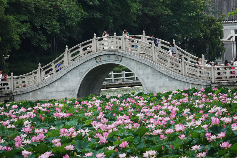 (Φωτογραφία / Λαϊκή Καθημερινή Online)