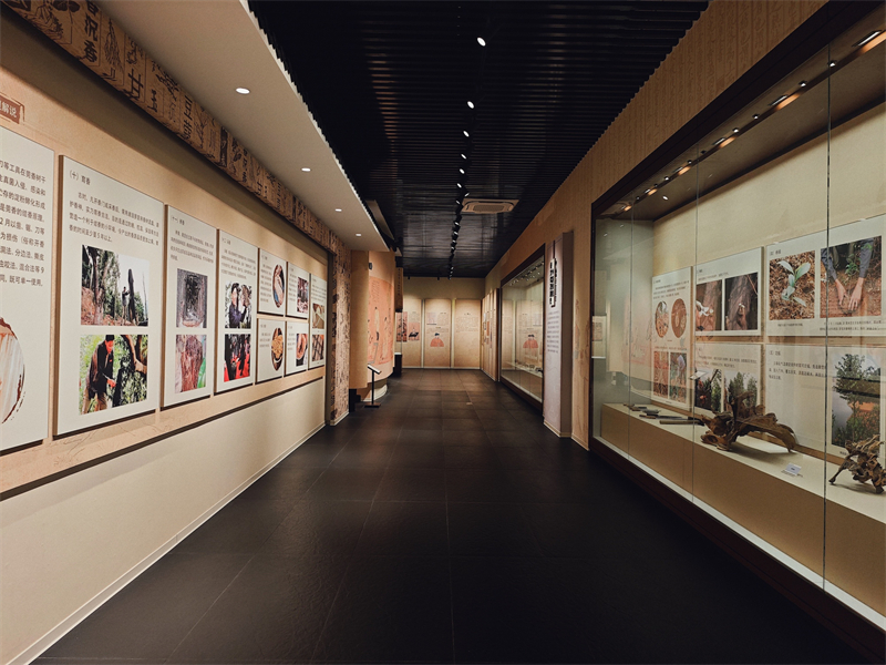 Στο Πάρκο Προστασίας Άυλης Πολιτιστικής Κληρονομιάς Γκουανσιάνγκ της πόλης Ντονγκουάν (Dongguan), η αίθουσα εκθέσεων παρουσιάζει πλήρως ολόκληρη τη διαδικασία, από την καλλιέργεια των δέντρων Γκουανσιάνγκ έως την παραγωγή του Γκουανσιάνγκ. (Φωτογραφία / Λαϊκή Καθημερινή Online)