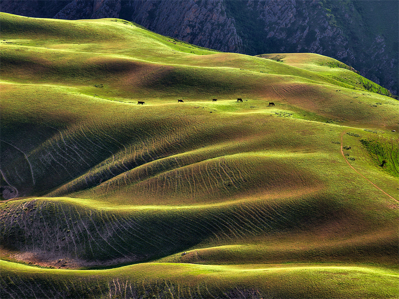 (Φωτογραφία / Λαϊκή Καθημερινή Online)