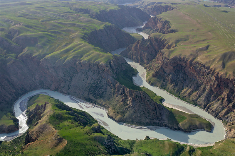 Αυτόνομη Περιφέρεια Σιντζιάνγκ: Η ομορφιά των λιβαδιών Καλατζούν στις αρχές του καλοκαιριού