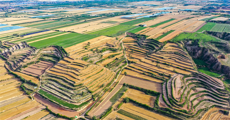 (Φωτογραφία / Λαϊκή Καθημερινή Online)