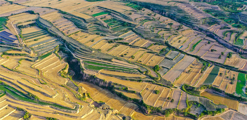 Επαρχία Σανσί: Το όμορφο τοπίο της καλοκαιρινής γεωργικής γης