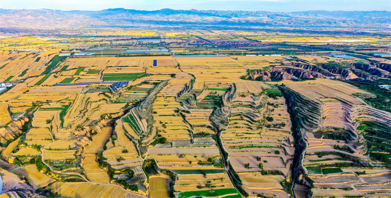 Επαρχία Σανσί: Το όμορφο τοπίο της καλοκαιρινής γεωργικής γης