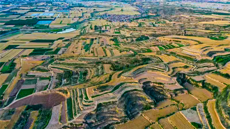 Επαρχία Σανσί: Το όμορφο τοπίο της καλοκαιρινής γεωργικής γης