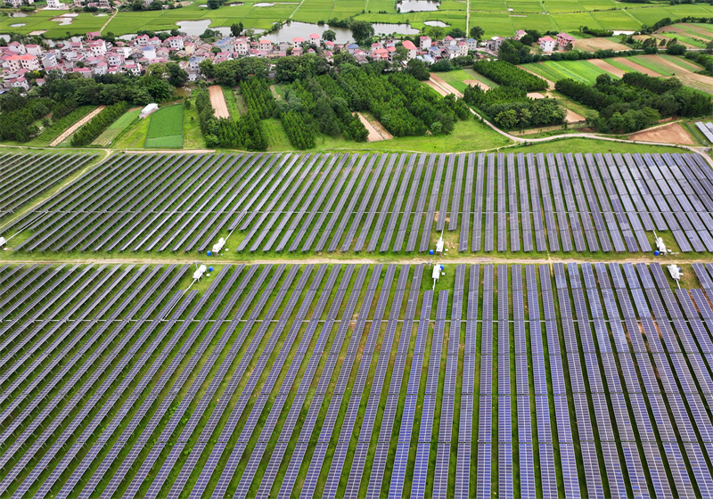 (Φωτογραφία / Λαϊκή Καθημερινή Online)