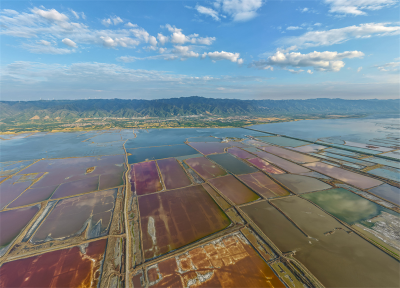 (Φωτογραφία / Λαϊκή Καθημερινή Online)