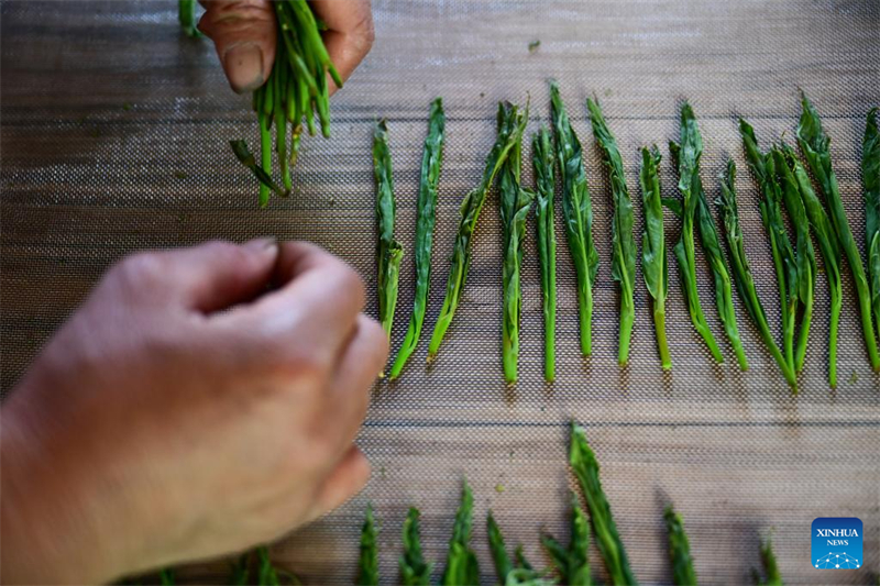 Εθνική άυλη πολιτιστική κληρονομιά - τεχνική παρασκευής του τσαγιού Ταϊπίνγκ Χοουγκουέι