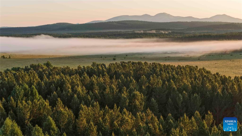 Τοπίο του Εθνικού Δασικού Πάρκου Σαϊχανμπά στην πόλη Τσενγκντέ