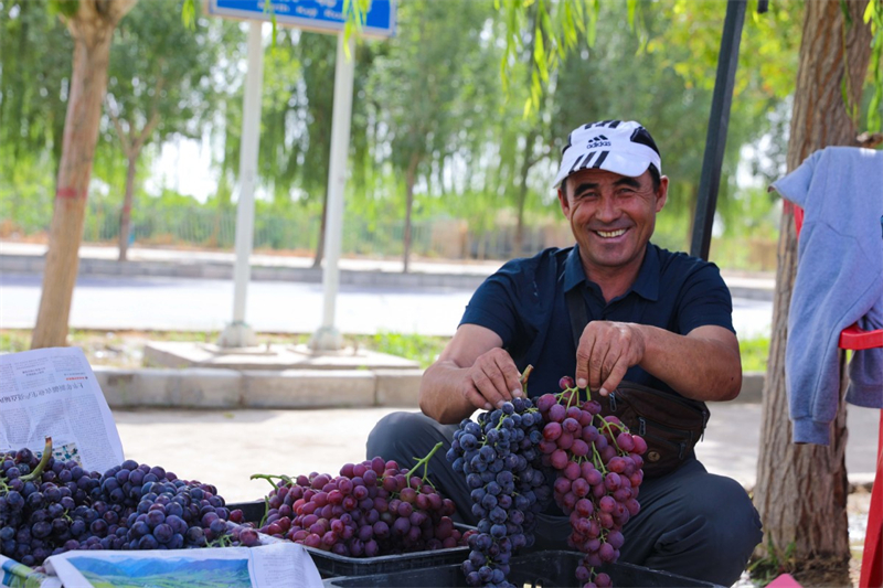 Εικόνες καλής συγκομιδής από το Σιντζιάνγκ