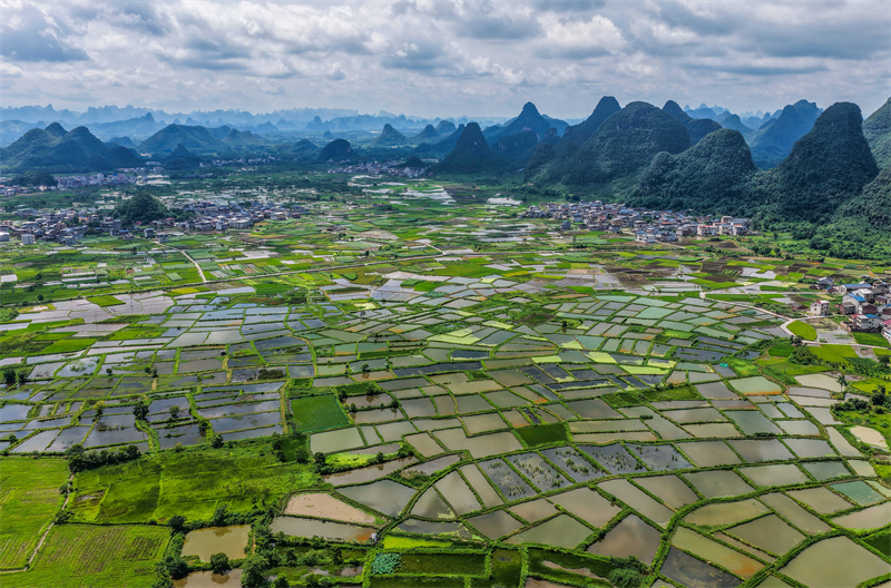 (Φωτογραφία / Λαϊκή Καθημερινή Online)