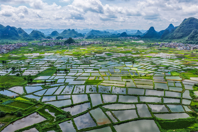 Επαρχία Γκουανγκσί: Όμορφο τοπίο στην ύπαιθρο το καλοκαίρι