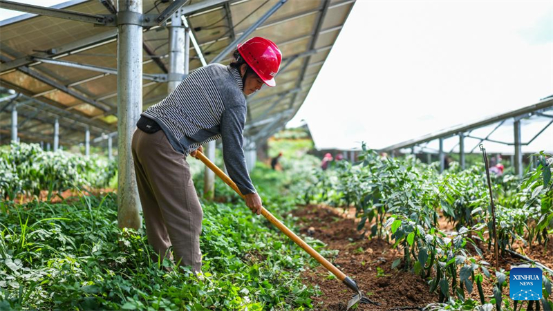 Η επαρχία Γκουεϊτζόου προσπαθεί να μετατρέψει τα οικολογικά πλεονεκτήματα σε αναπτυξιακά πλεονεκτήματα
