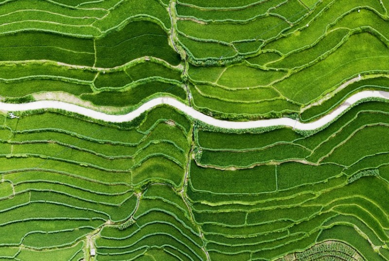 Το τοπίο των αναβαθμίδων κατά μήκος του ποταμού Λαντσάνγκ. (Φωτογραφία από το Γραφείο Πολιτισμού και Τουρισμού της κομητείας Γιουνλόνγκ)