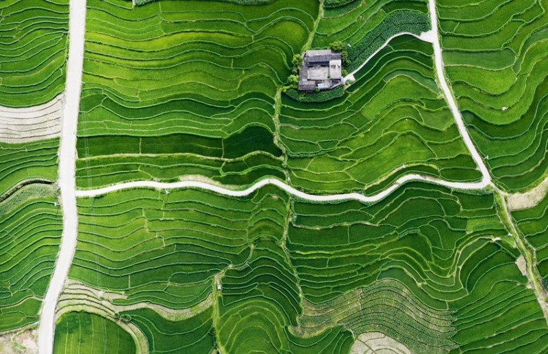 Οι αναβαθμίδες στις όχθες του ποταμού Λαντσάνγκ είναι όμορφες σαν πίνακας ζωγραφικής