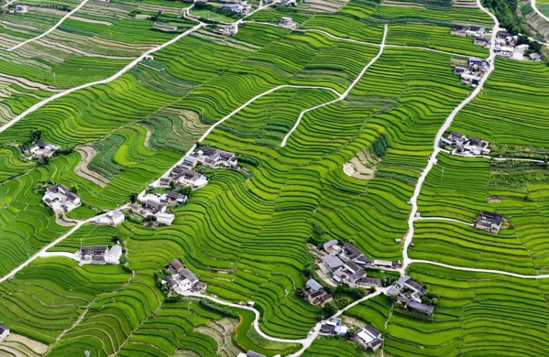 Οι αναβαθμίδες στις όχθες του ποταμού Λαντσάνγκ είναι όμορφες σαν πίνακας ζωγραφικής