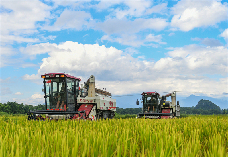 (Φωτογραφία / Λαϊκή Καθημερινή Online)