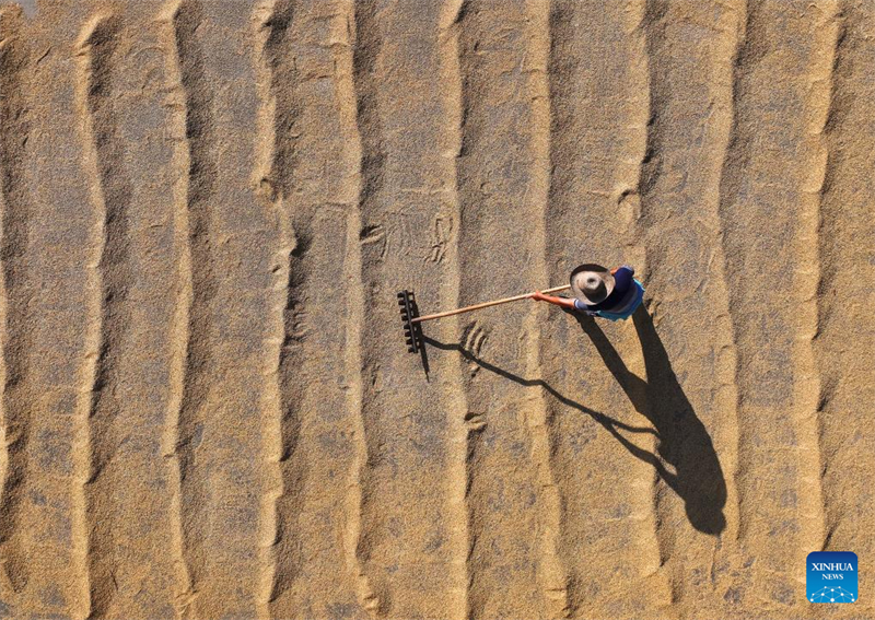 Κινέζοι χωρικοί απασχολούνται με αγροτικές εργασίες