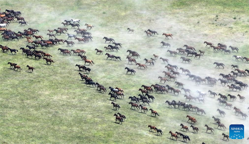Παραστάσεις και ιππική επίδειξη πραγματοποιούνται κατά τη διάρκεια του φεστιβάλ τουρισμού στην επαρχία Σιντζιάνγκ