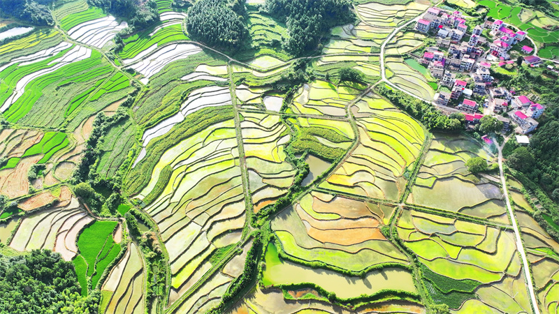 (Φωτογραφία / Λαϊκή Καθημερινή Online)