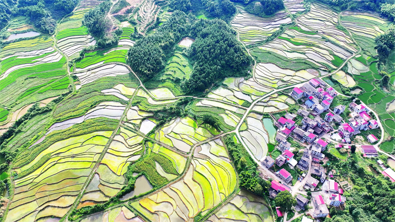 Επαρχία Τζιανγκσί: Πολύχρωμα πεζούλια είναι ένα θέαμα που πρέπει να δεις