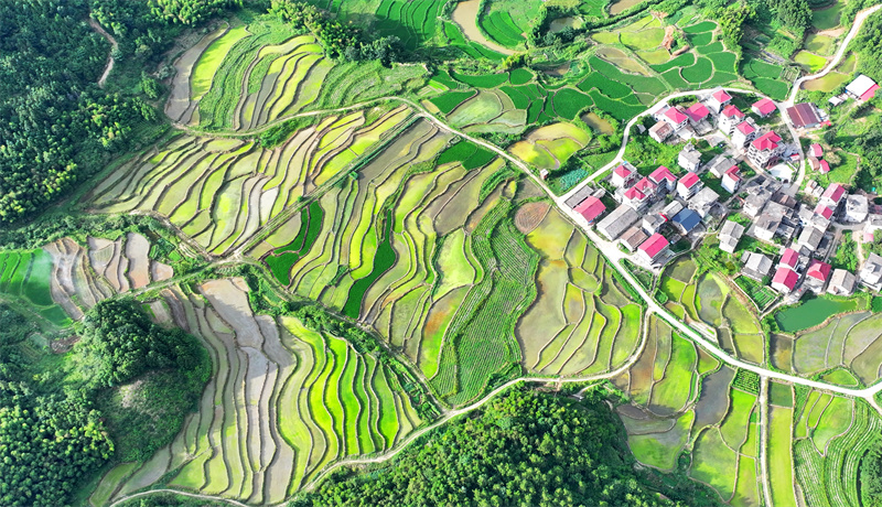 Επαρχία Τζιανγκσί: Πολύχρωμα πεζούλια είναι ένα θέαμα που πρέπει να δεις