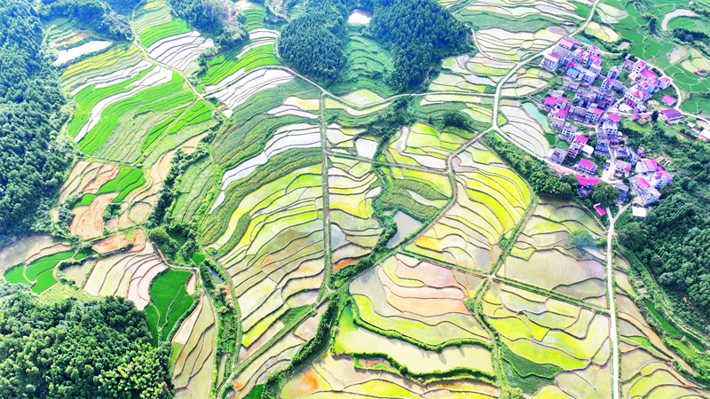 Επαρχία Τζιανγκσί: Πολύχρωμα πεζούλια είναι ένα θέαμα που πρέπει να δεις