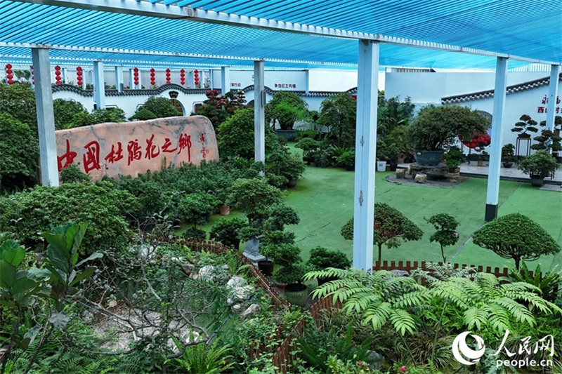 (Φωτογραφία / Λαϊκή Καθημερινή Online)