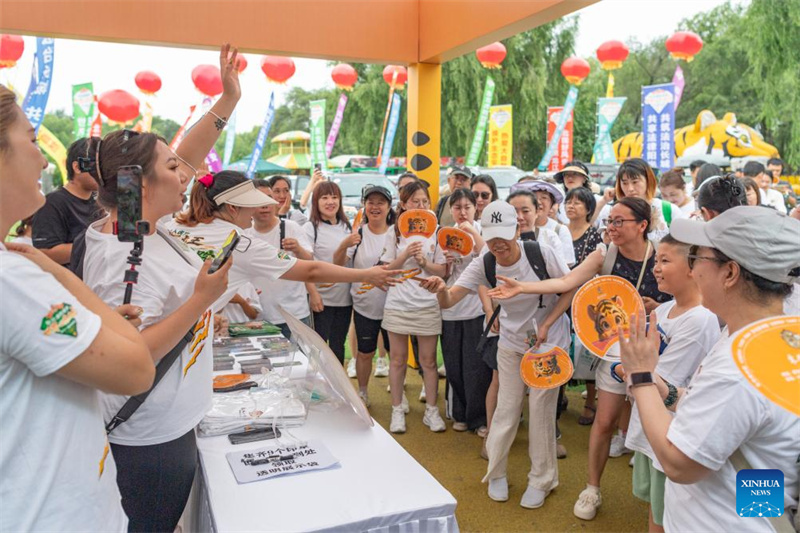 Εκδηλώσεις για την Παγκόσμια Ημέρα της Τίγρης στην πόλη Χαρμπίν