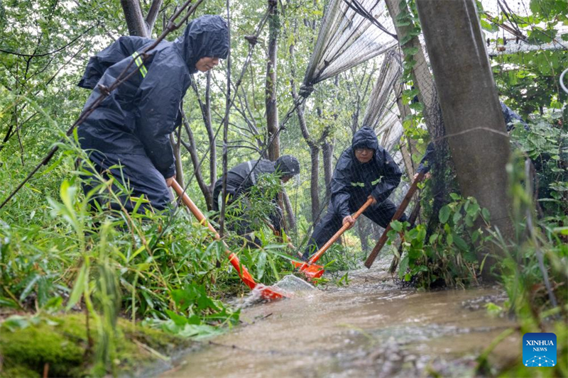 Οι επαρχίες της Ανατολικής Κίνας ενισχύουν την πρόληψη καταστροφών για τον τυφώνα Co-May