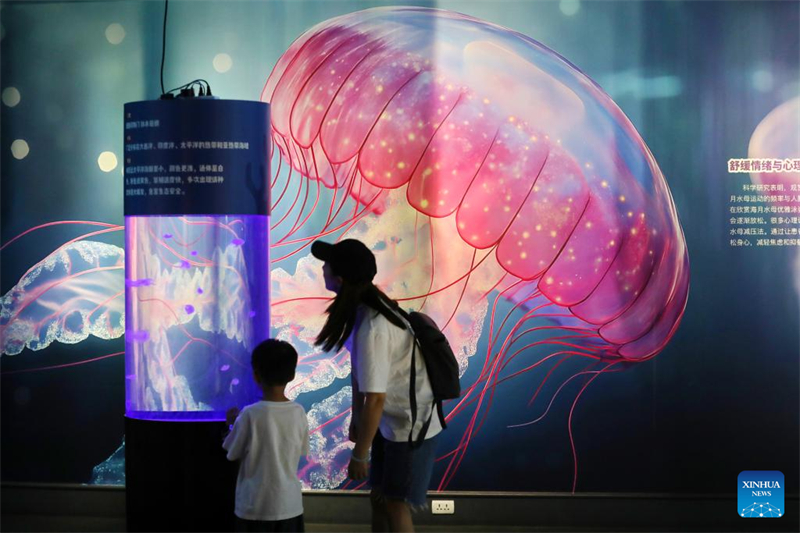 Παιδί επισκέπτεται μια έκθεση με θέμα τις μέδουσες σε ένα μουσείο στην πόλη Τζιασίνγκ (Jiaxing) της επαρχίας Τζετζιάνγκ, στις 16 Αυγούστου του 2025. (Φωτογραφία / Xinhua)
