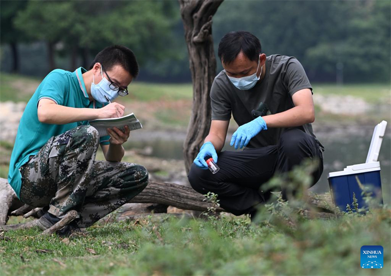 Οι άγριοι πληθυσμοί των ελαφιών Μιλού αποκαταστάθηκαν στην Κίνα μετά από 40 χρόνια προσπαθειών διατήρησης