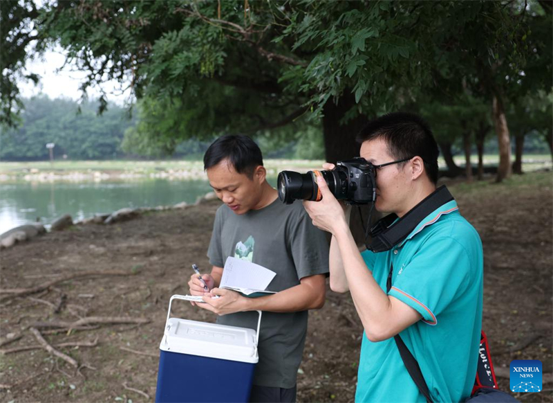 Οι άγριοι πληθυσμοί των ελαφιών Μιλού αποκαταστάθηκαν στην Κίνα μετά από 40 χρόνια προσπαθειών διατήρησης