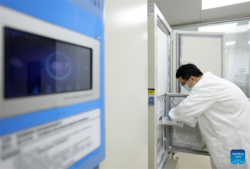 Οι άγριοι πληθυσμοί των ελαφιών Μιλού αποκαταστάθηκαν στην Κίνα μετά από 40 χρόνια προσπαθειών διατήρησης