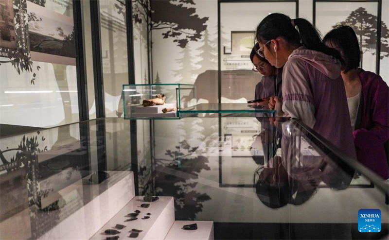 Οι πολιτιστικοί χώροι και τα μουσεία γίνονται δημοφιλείς προορισμοί για τους ανθρώπους κατά τη διάρκεια των καλοκαιρινών διακοπών