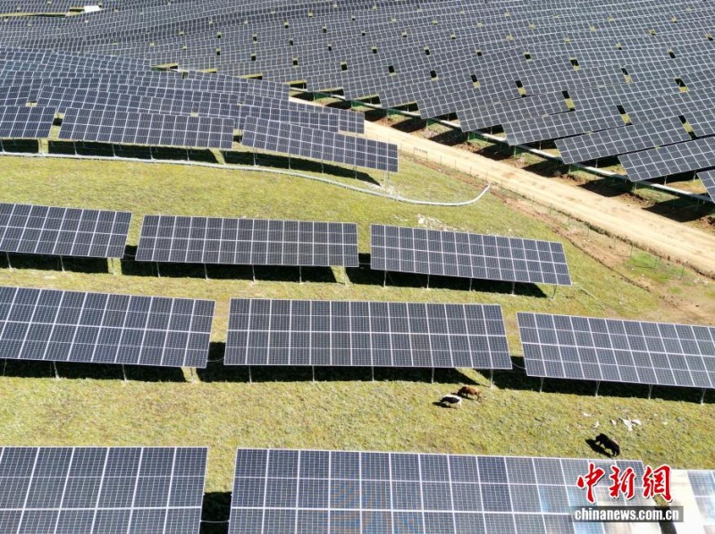 Το ηλιακό πάρκο σε υψόμετρο 4.000 μέτρων μετατρέπεται σε «τραπεζαρία με στέγη στον ουρανό» για τα γιάκ