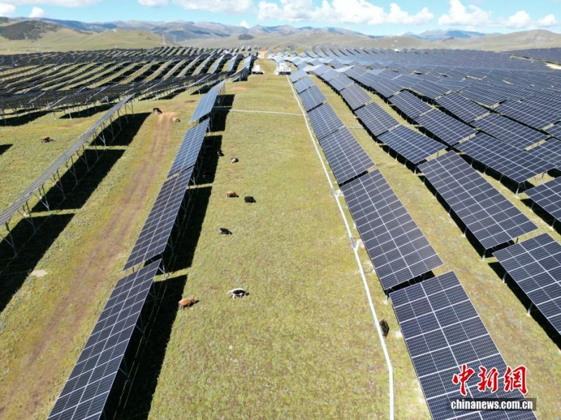 Το ηλιακό πάρκο σε υψόμετρο 4.000 μέτρων μετατρέπεται σε «τραπεζαρία με στέγη στον ουρανό» για τα γιάκ