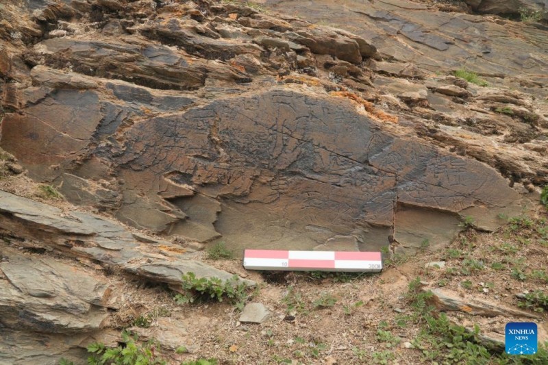 Αυτή η φωτογραφία, που τραβήχτηκε στις 25 Ιουλίου του 2025, δείχνει την χαραγμένη πέτρα της δυναστείας των Τσιν που ανακαλύφθηκε στη βόρεια όχθη της λίμνης Γκαρί στην κομητεία Ματόου, στη βορειοδυτική επαρχία Τσινγκχάι της Κίνας. 