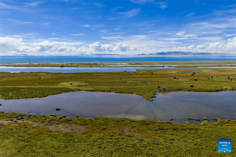 Η φωτογραφία που τραβήχτηκε στις 16 Σεπτεμβρίου του 2025 δείχνει την θέα της Λίμνης Ναμ Τσο, της υψηλότερης αλμυρής λίμνης στον κόσμο, στην Αυτόνομη Περιοχή Σιτζάνγκ. (Φωτογραφία / Xinhua)