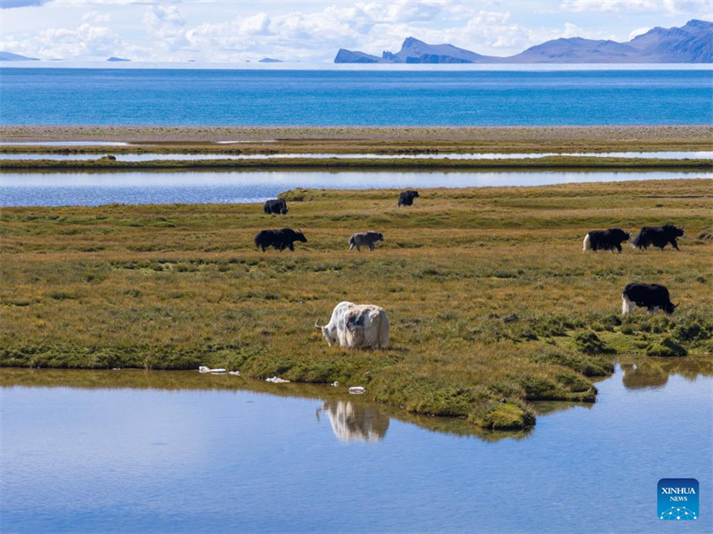 Τοπίο της Λίμνης Ναμ Τσο της Αυτόνομη Περιοχή Σιτζάνγκ