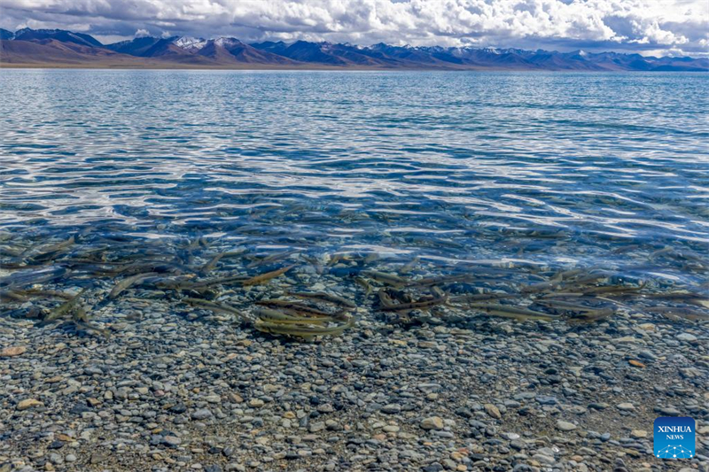 Τοπίο της Λίμνης Ναμ Τσο της Αυτόνομη Περιοχή Σιτζάνγκ