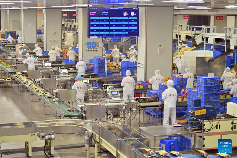 Το φαγητό του δρόμου Λουοσιφέν αναζωογονεί τη βιομηχανική δυναμική στην επαρχία Γκουανγκσί