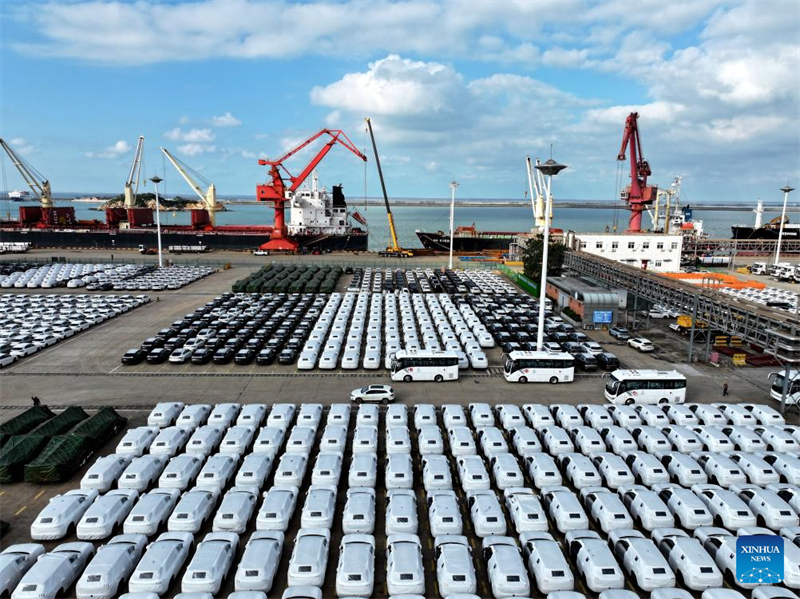 Μια αεροφωτογραφία που τραβήχτηκε στις 14 Οκτωβρίου του 2025 δείχνει αυτοκίνητα έτοιμα για μεταφορά να σταθμεύουν σε μια αποβάθρα. (Φωτογραφία / Xinhua)