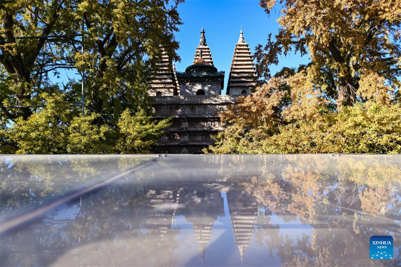 Το Μουσείο Λιθογλυπτικής Τέχνης του Πεκίνου προσελκύει τουρίστες