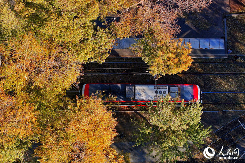 Τα τουριστικά τραμ γίνονται «κινούμενες κάρτες της πόλης»