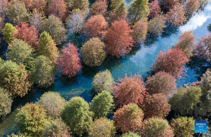 Φθινοπωρινό τοπίο σε όλη την Κίνα