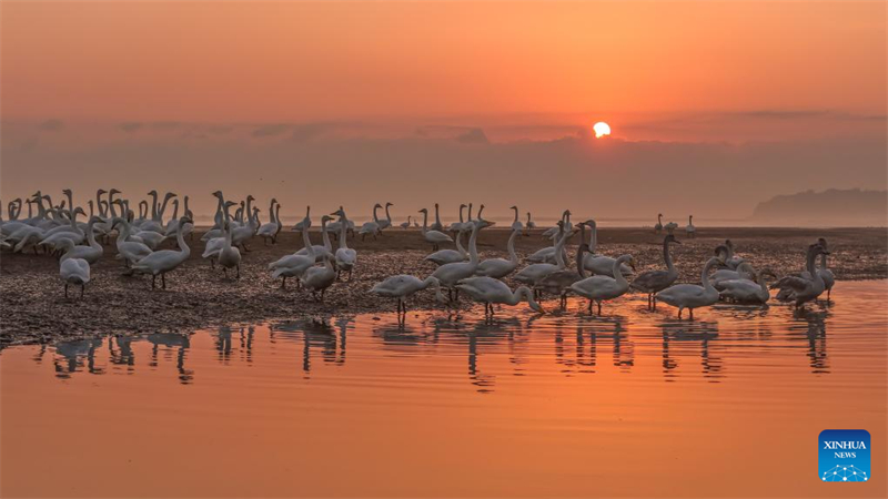 Φθινοπωρινό τοπίο σε όλη την Κίνα