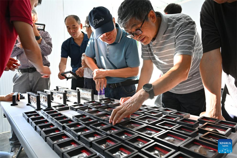 Προϊστορικός τάφος ανακαλύφθηκε στην επαρχία Χαϊνάν