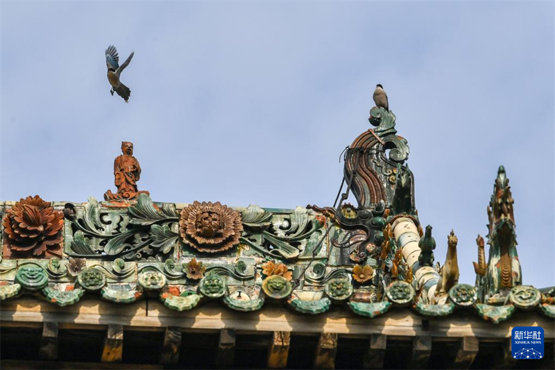 «Ξωτικά» σκαρφαλωμένα στις κορυφές αρχαίων στεγών