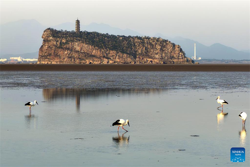 Μεταναστευτικά πουλιά παρατηρήθηκαν στη Λίμνη Πογιάνγκ