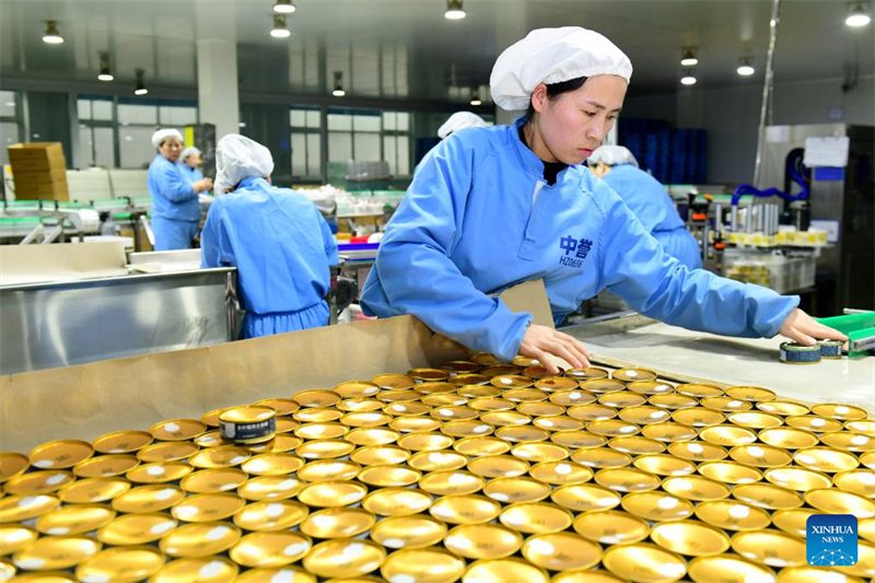 Οι εργαζόμενοι είναι απασχολημένοι στη γραμμή παραγωγής στην κομητεία Τσαοσιάν της επαρχίας Σαντόνγκ. (Φωτογραφία / Xinhua)